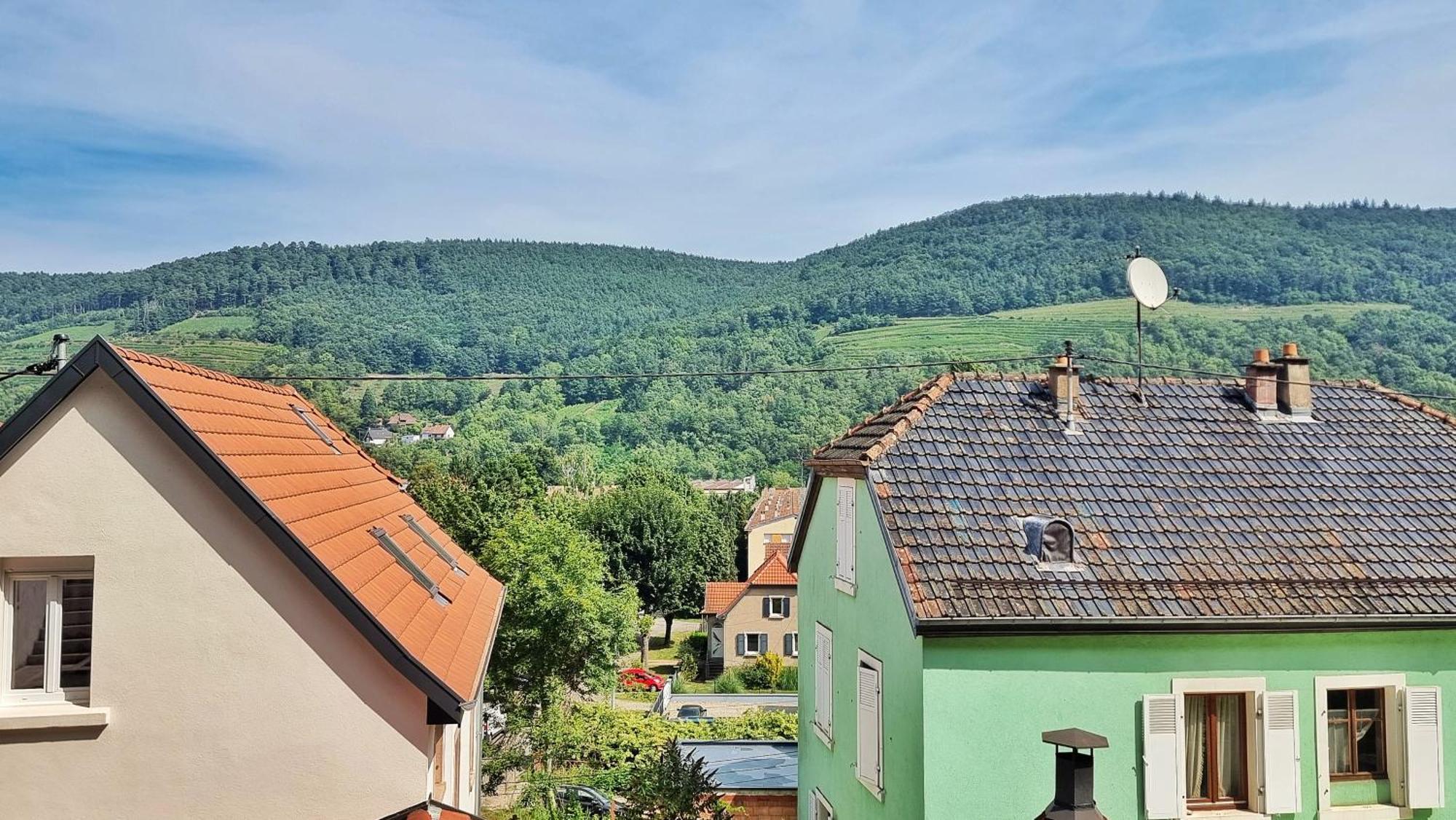 La Buhl Verte - Chic Et Moderne - Calme - Fibre - Relax Bnb Zewnętrze zdjęcie